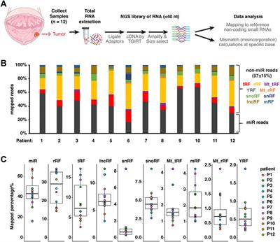 Characterization of novel small non-coding RNAs and their modifications in bladder cancer using an updated small RNA-seq workflow